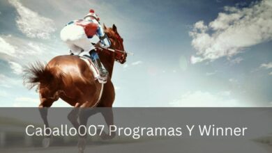 Caballo007 Programas Y Winner