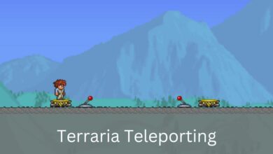 Terraria Teleporting